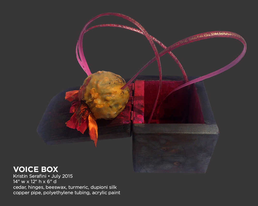 voice-box-01