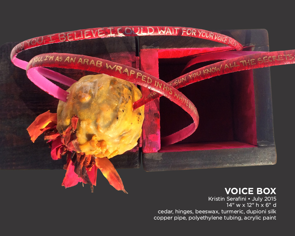voice-box-03